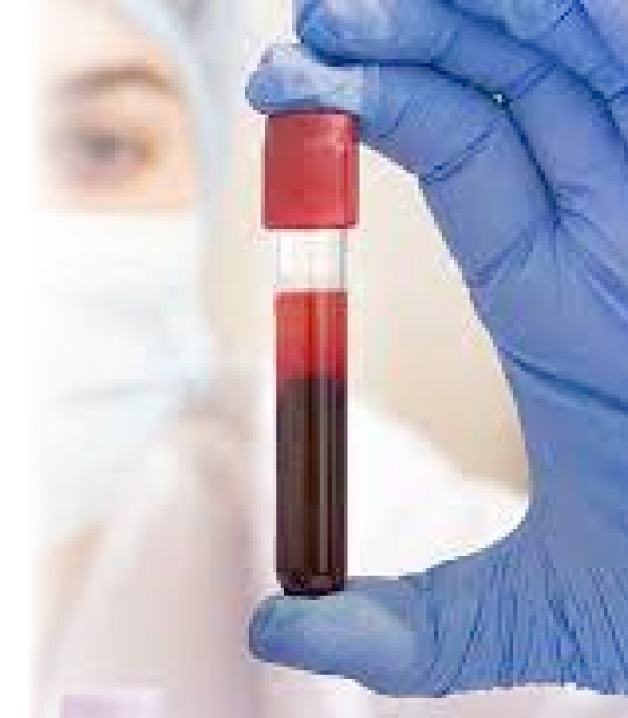 Hematologia