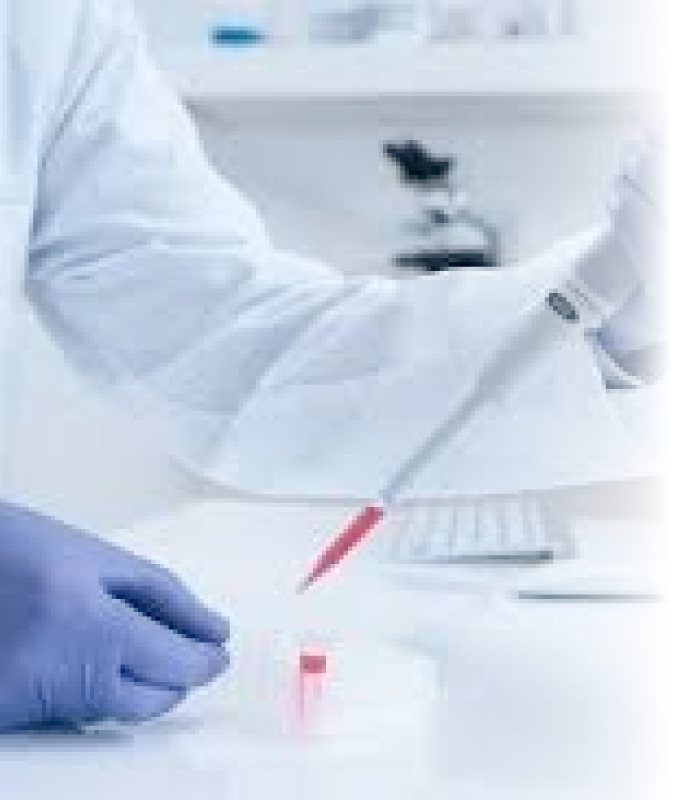 Transplante-de-medula-osea