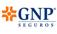 seguro-gnp